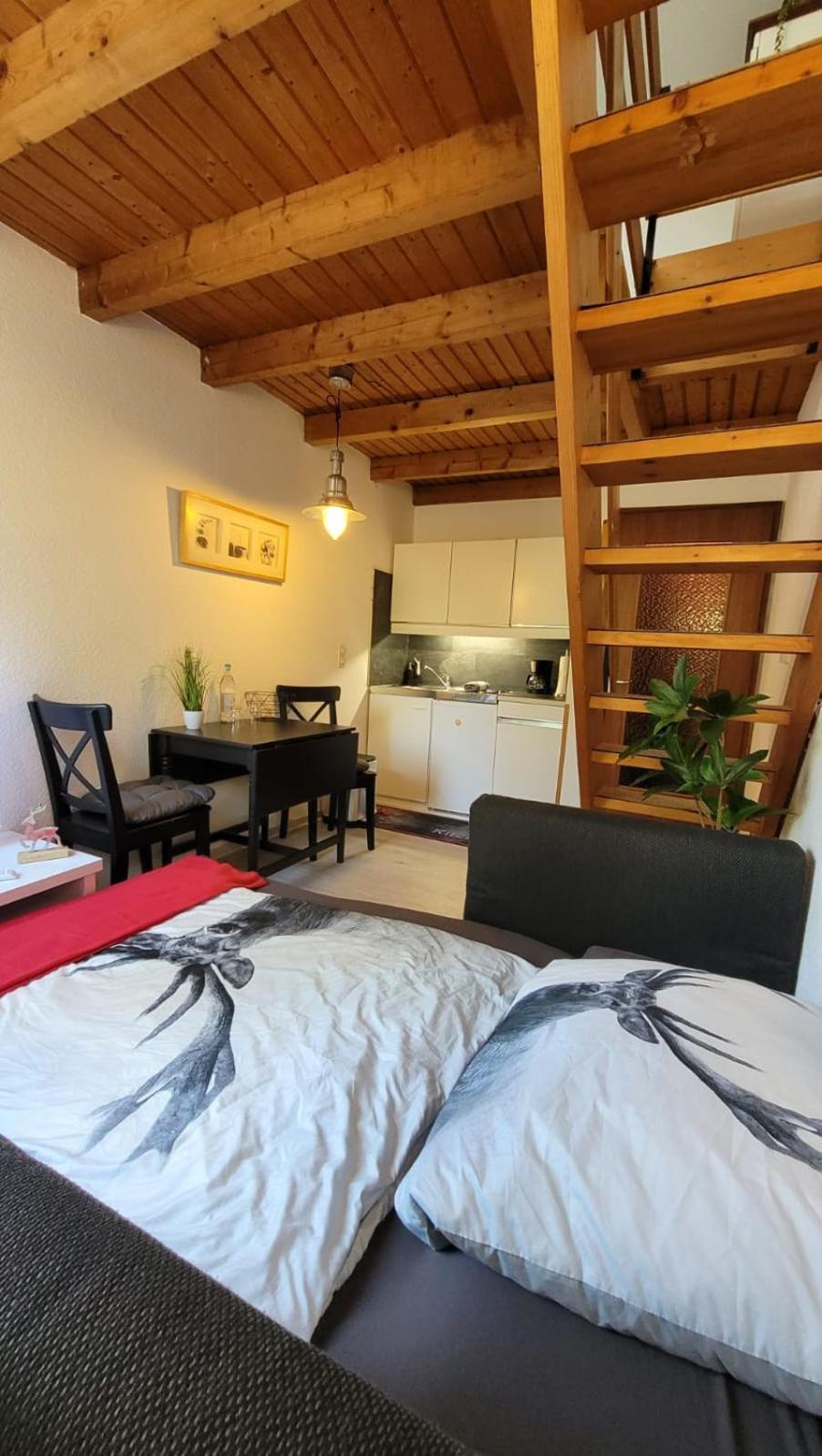 Berg-Buedchen - Schnuckelige Maisonette-Fewo - Gemuetlich Und Guenstig Sankt Andreasberg Εξωτερικό φωτογραφία